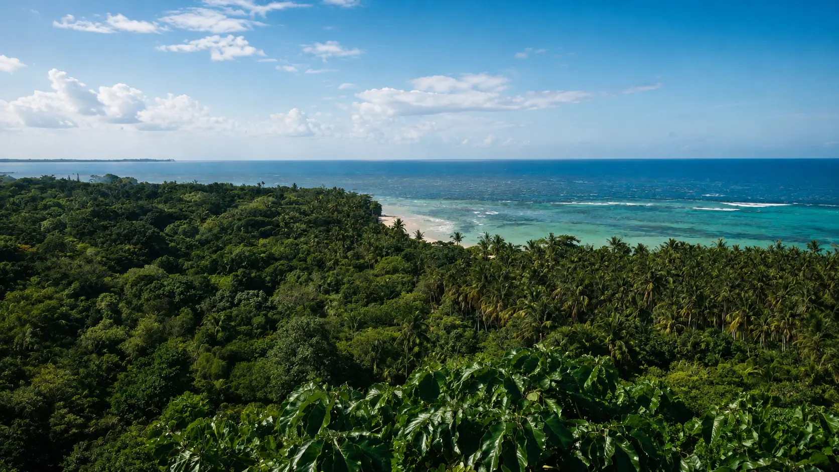 Viewpoint over the Atlantic Forest and sea in Arraial d'Ajuda