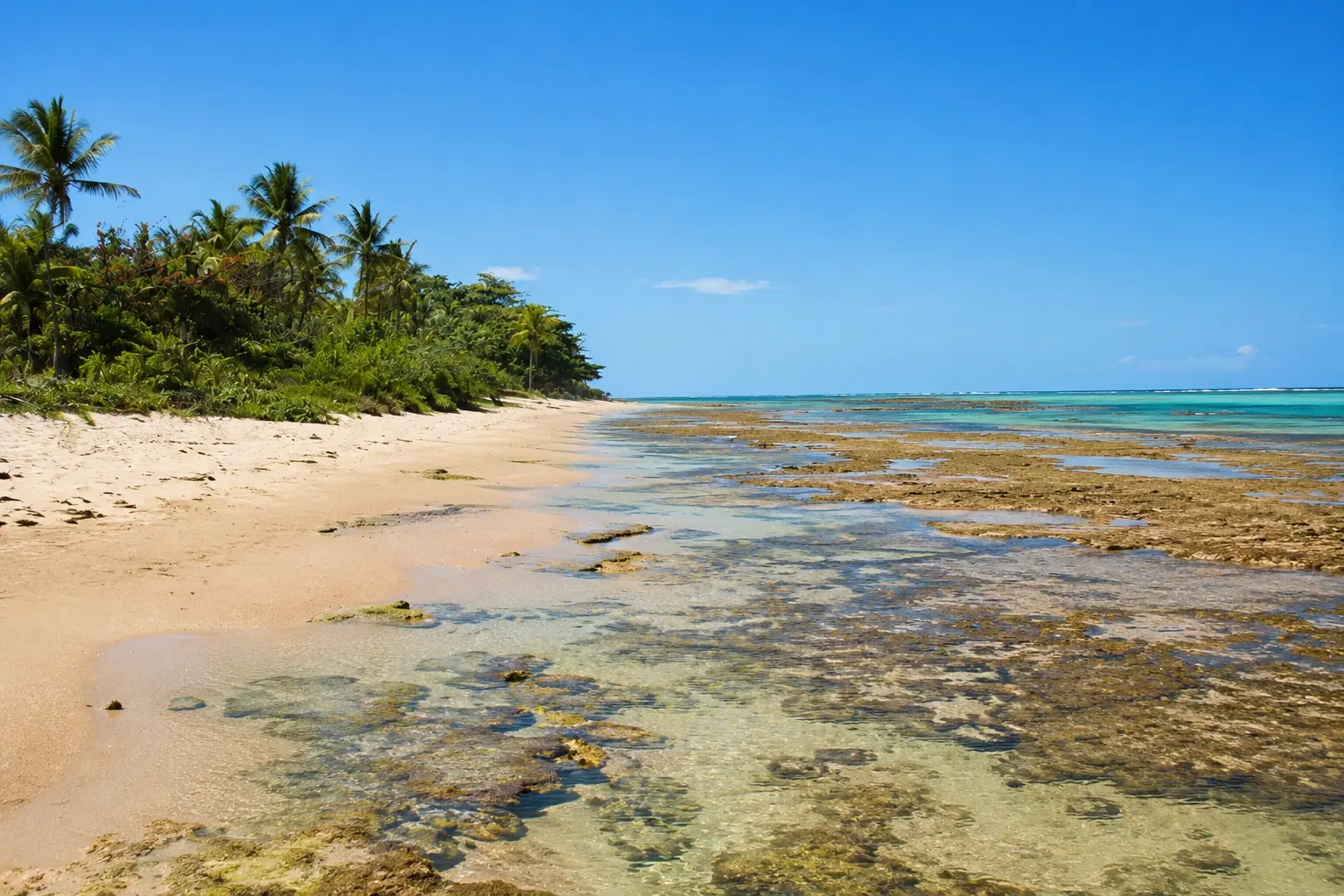 Recifes formando piscinas de água transparente na costa de Arraial d'Ajuda, com coqueiros à beira da areia
